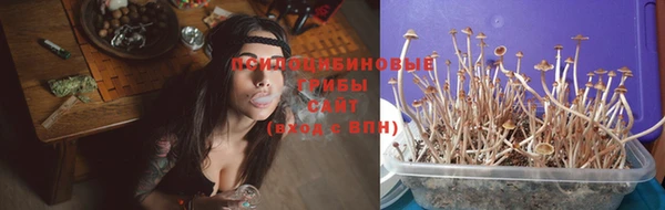 ГАЛЛЮЦИНОГЕННЫЕ ГРИБЫ Верхний Тагил