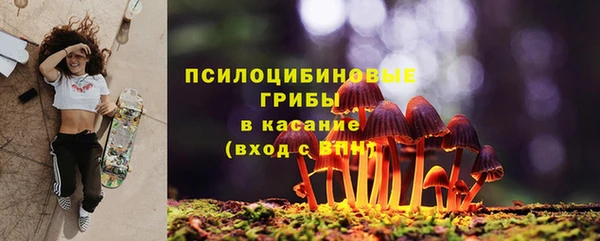 ГАЛЛЮЦИНОГЕННЫЕ ГРИБЫ Верхний Тагил