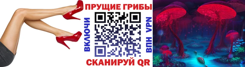 Псилоцибиновые грибы MAGIC MUSHROOMS  цена   Карабаново 